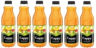 6x 1L CAPPY nektárový multivitamínový balíček 6x 1L CAPPY nektárový multivitamínový balíček