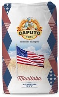 Pšeničná múka 0 Manitoba 25kg Caputo Pšeničná múka 0 Manitoba 25kg Caputo