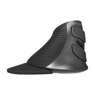 Bezdrôtová ergonomická myš Delux 2.4G BT 5.0 Bezdrôtová ergonomická myš Delux 2.4G BT 5.0