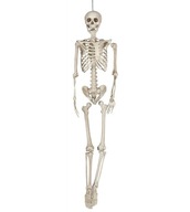 Kostra 160 cm závesná dekorácia kostry