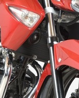 KRYT NA RADIÁTOR R&G SUZUKI INAZUMA 250 ČIERNA KRYT NA RADIÁTOR R&G SUZUKI INAZUMA 250 ČIERNA