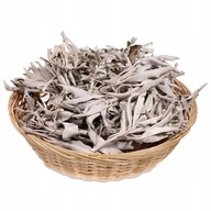 BALENIE BIELEJ ŠALVI 50G – SALVIA APIANA BALENIE BIELEJ ŠALVI 50G – SALVIA APIANA