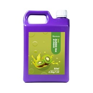 BUBLINOVÝ ČAJ SIRUP 2,5 KG KONCENTRÁT KIWI ŠŤAVY