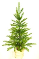 Umelý vianočný stromček smrek PE 100% PREMIUM črepník