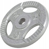 Naložte liatinovú platňu s držadlami 5 kg 30 mm Naložte liatinovú platňu s držadlami 5 kg 30 mm