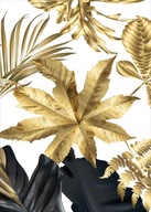 Monstera gold Plagát Plagáty B2 70x50cm Papier200 Monstera gold Plagát Plagáty B2 70x50cm Papier200