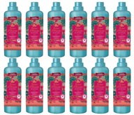 Tesori d'Oriente Ayurveda na oplachovanie 12x760ml IT Tesori d'Oriente Ayurveda na oplachovanie 12x760ml IT