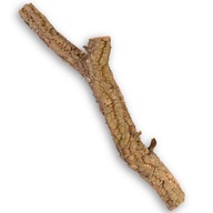 KOREŇ STROMU PRE PLAZY Obojživelníky KOREŇ STROMU PRE PLAZY Obojživelníky
