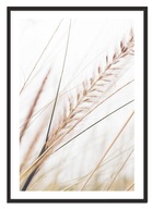 OBRAZOVÝ PLAGÁT V RÁME 33x43 cm Boho P2298 OBRAZOVÝ PLAGÁT V RÁME 33x43 cm Boho P2298