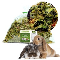 Chypatizácia mix 20 Herbov 400g Lila Farm Delications Herbs 0,4 kg Food Food Chypatizácia mix 20 Herbov 400g Lila Farm Delications Herbs 0,4 kg Food Food