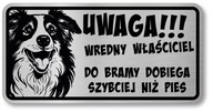 Pozor pes Border Collie sign Pozor pes Border Collie sign