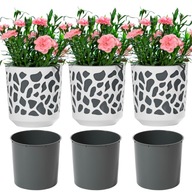 SET 3x ČREŇNÍK ZÁHRADNÝ ČREVÍN 19,5cm SET 3x ČREŇNÍK ZÁHRADNÝ ČREVÍN 19,5cm