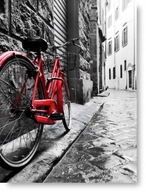 BICYKEL ČIERNO-BIELY plagát B1 100x70cm obraz #190 BICYKEL ČIERNO-BIELY plagát B1 100x70cm obraz #190