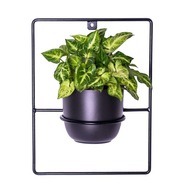 Nástenný stojan na kvety Pilea, čierny kov Nástenný stojan na kvety Pilea, čierny kov