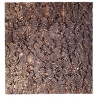 Repti-Zoo kôrové pozadie do terária 20x20cm Repti-Zoo kôrové pozadie do terária 20x20cm