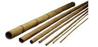 Bambusová tyč 20-22mm 120cm BAMBUS