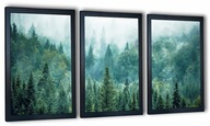 Moderná sada 3 zarámovaných obrazov - les v hmle