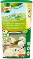 Knorr Four syrová omáčka s brokolicou 0,9 kg Knorr Four syrová omáčka s brokolicou 0,9 kg