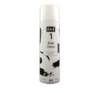 Gesso sprej White Foundation 500 ml Odif 1 Gesso sprej White Foundation 500 ml Odif 1