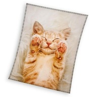 Béžová deka Kitten 4067 CARBOTEX 130x170 Béžová deka Kitten 4067 CARBOTEX 130x170