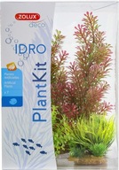 ZOLUX PLANTKIT IDRO N°1 Akvarijné rastliny ZOLUX PLANTKIT IDRO N°1 Akvarijné rastliny
