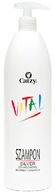 CATZY Vital Silver šampón pre blond a šedivé vlasy 1 CATZY Vital Silver šampón pre blond a šedivé vlasy 1