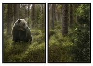 OBRAZOVÉ PLAGÁTY V RÁME 33x43cm Diptych Medvede P753 OBRAZOVÉ PLAGÁTY V RÁME 33x43cm Diptych Medvede P753