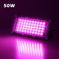 50W LED lampa pre útočisko 50W LED lampa pre útočisko