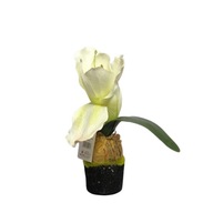 Umelý amaryllis mini - biely kvet a cibuľa