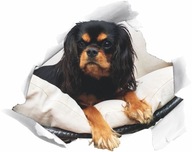3D nálepka ŠTEŇA DOG v diere 3D nálepka ŠTEŇA DOG v diere