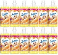 NEMECKÝ SOFTLAN 12 X KONCENTRÁT AVIKÁROV 1L VANILKA/VANILKA