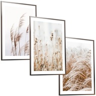 30x40 OBRAZY RÁMOVÉ PLAGÁTY BOHO RÁM PAMPAS GRASS 30x40 OBRAZY RÁMOVÉ PLAGÁTY BOHO RÁM PAMPAS GRASS