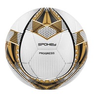 FUTBALOVÝ POKROK FUTBALOVÝ POKROK