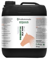 Probiotikum pre kone 5L ProBiotics Probiotikum pre kone 5L ProBiotics