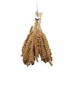 Senegalský proso žltý v ušiach 1 kg Senegalský proso žltý v ušiach 1 kg