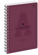 Zápisník A5 so 100 štvorcovými listami ACADEMY mix (99307)