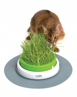 CATIT TRÁVNA PLANTÁCIA hračka pre mačky Sada na pestovanie trávy pre mačky