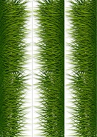 PAPIEROVÁ CUKROVÁ HRANA PLNIACE 7CM PRIEMER 28CM ŠPORT PAPIEROVÁ CUKROVÁ HRANA PLNIACE 7CM PRIEMER 28CM ŠPORT