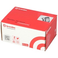 BRZDOVÉ DOŠTIČKY. R.MASTER ZADNÁ 10-> BREMBO
