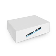 TESNENIE 12-38538-01 REINZ