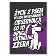 Plechový plagát na stenu obrázok darčeková dekorácia nápis Život so psom Plechový plagát na stenu obrázok darčeková dekorácia nápis Život so psom