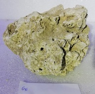Prírodná suchá koralová hornina 1,30 kg č.G6