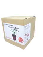 Novoročný darček PCR korenie Novoročný darček PCR korenie
