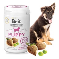 BRIT VITAMINS PUPPY FUNKČNÝ VITAMÍNOVÝ DOPLNOK PRE ŠTEŇATÁ 150g BRIT VITAMINS PUPPY FUNKČNÝ VITAMÍNOVÝ DOPLNOK PRE ŠTEŇATÁ 150g