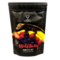 Gecko výživa krmivo z lesných plodov pre gekončíky 50g Gecko výživa krmivo z lesných plodov pre gekončíky 50g