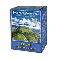Ajurvédsky čaj Kudzu Posilnenie svalov Ajurvédsky čaj Kudzu Posilnenie svalov