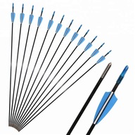 UHLÍKOVÉ ŠÍPY 12 KUSOV 31,5" UHLÍKOVÉ ŠÍPY 12 KUSOV 31,5"