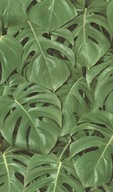 Tapeta na stenu s listami monstera, zelená monstera, Freundin II 441802 Rasch Tapeta na stenu s listami monstera, zelená monstera, Freundin II 441802 Rasch