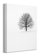 Lonely Tree veľký obraz na plátne 30x40 cm