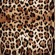 TAPETY ROLL LEOPHER 0,5x10m f-A-0110-j-a TAPETY ROLL LEOPHER 0,5x10m f-A-0110-j-a